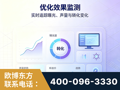 三亚-优化效果监测